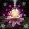 Yogi Sharanananda Unfoling like a Lotus
