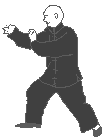 Tai Chi Quan movements